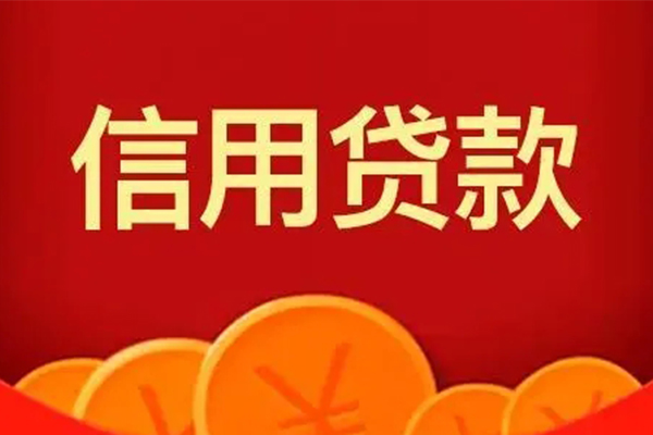 东莞29小额贷款电话