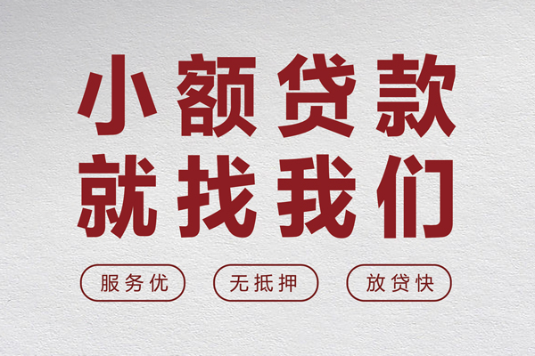 东莞29个人贷款小额贷款-东莞29身份证贷款分期-东莞29个人短借